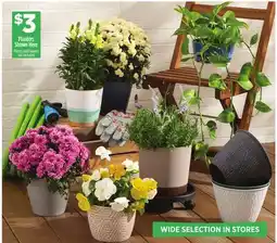 Dollar General Planters Shown Here offer