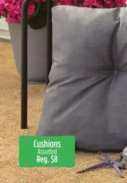 Dollar General Cushions offer