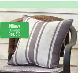 Dollar General Pillows offer
