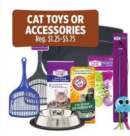 Dollar General CAT TOYS OR ACCESSORIES offer
