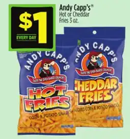 Dollar General Andy Capp's Hot or Cheddar Fries offer