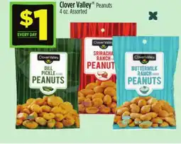 Dollar General Clover Valley Peanuts offer