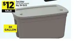 Dollar General True Living Tote offer