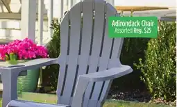 Dollar General Adirondack Chair offer