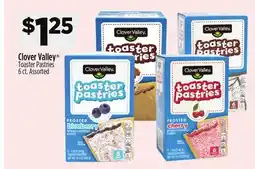 Dollar General Clover Valley Toaster Pastries offer
