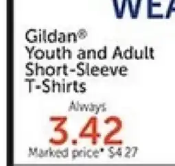 Hobby Lobby Gildan Youth and Adult Short-Sleeve T-Shirts offer