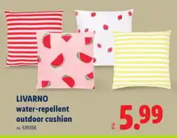 Lidl LIVARNO water-repellent outdoor cushion offer