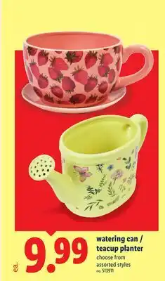 Lidl watering can/teacup planter offer