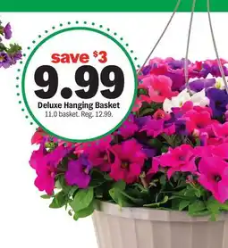 Meijer Deluxe Hanging Basket offer
