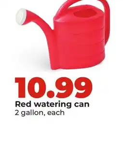 Hy-Vee Red watering can offer