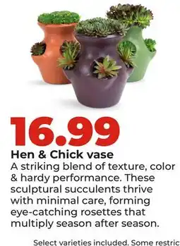Hy-Vee Hen & Chick vase offer