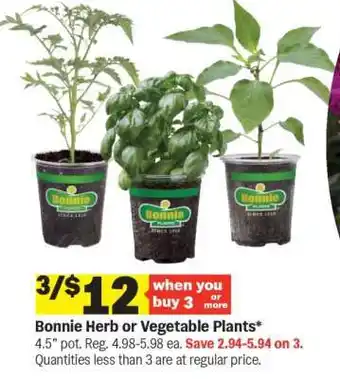 Bonnie Herb or Vegetable Plants