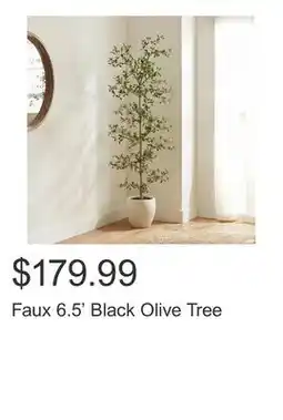 Costco Faux 6.5' Black Olive Tree offer