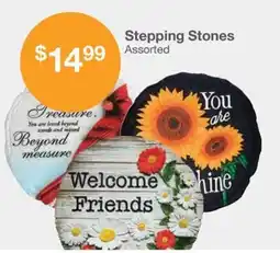 Kinney Drugs Stepping Stones Assorted offer
