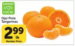Vons Ojai Pixie Tangerines offer