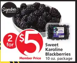 Vons Sweet Karoline Blackberries offer