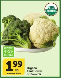 Albertsons Organic Cauliflower or Broccoli offer