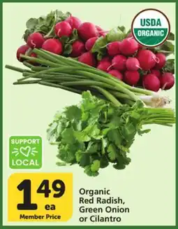 Albertsons Organic Red Radish, Green Onion or Cilantro offer