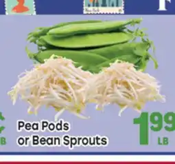 Tony’s Fresh Market Pea Pods or Bean Sprouts offer