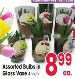 Jewel-Osco Assorted Bulbs in Glass Vase offer