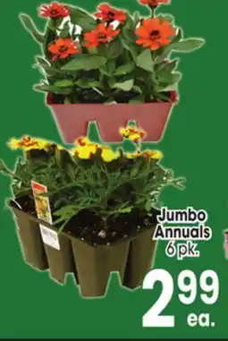 Jewel-Osco Jumbo Annuals offer