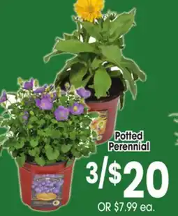 Jewel-Osco Potted Perennial offer
