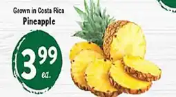 Rio Valley Market Pineapple offer