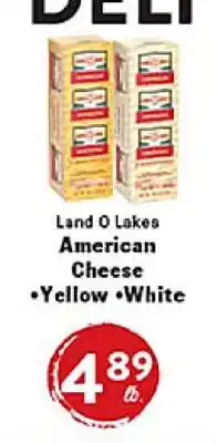 Rio Valley Market Land O Lakes American Cheese •Yellow •White offer
