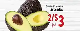 Rio Valley Market Avocados offer