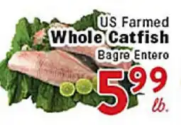 Rio Valley Market US Farm Whole Catfish offer