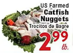 Rio Valley Market US Farm Catfish Nuggets offer
