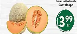Rio Valley Market Cantaloupe offer