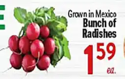 Rio Valley Market Bunch of Radishes offer