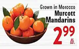 Rio Valley Market Murcott Mandarins offer