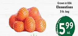 Rio Valley Market Clementines offer