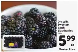 Safeway Driscoll’s Sweetest Batch Blackberries offer