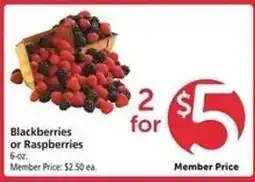 Safeway Blackberries or Raspberries offer