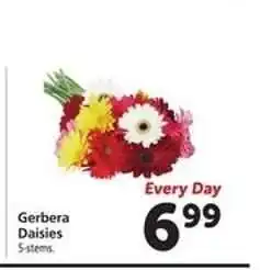 Safeway Gerbera Daisies offer