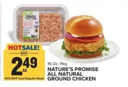 Food Lion Nature's Promise All Natural Ground Chicken offer