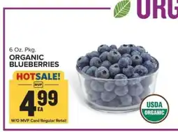 Food Lion Organic Blueberries offer