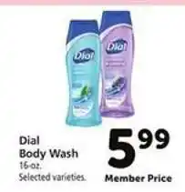 Safeway Dial Body Wash offer