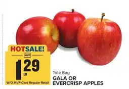 Food Lion Gala or Evercrisp Apples offer