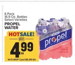 Food Lion Propel Water offer