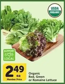 Albertsons Organic Lettuce offer