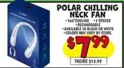 Ollie's POLAR CHILLING NECK FAN offer