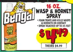 Ollie's BENGAL 16 OZ. WASP & HORNET SPRAY offer