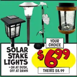 Ollie's SOLAR STAKE LIGHTS offer