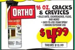 Ollie's ORTHO 16 OZ. CRACKS & CREVICES offer