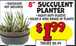 Ollie's 8 SUCCULENT PLANTER offer