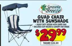 Ollie's QUAD CHAIR WITH SUNSHADE offer
